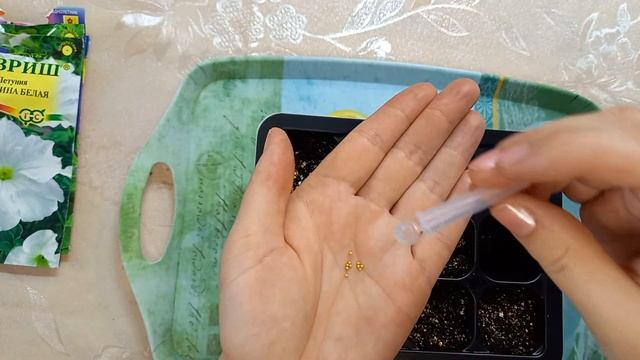 Посев петунии на рассаду. смотреть онлайн