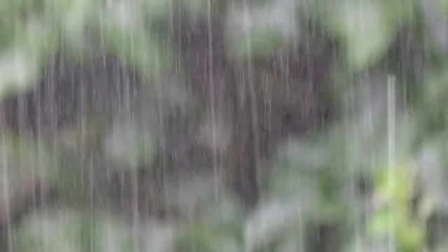 មេឃភ្លៀង Rain смотреть онлайн