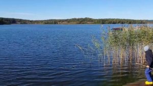 Кайман 400, Yamaha 50