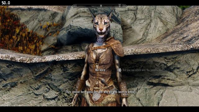 Khajiit Will Follow FULL GAMEPLAY SKYRIM смотреть онлайн