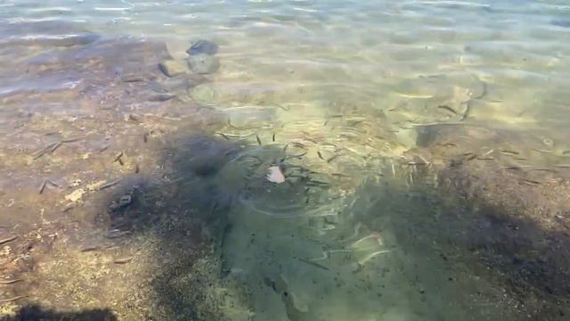 Мальта Каменный пляж остров Маноэль 06 10 2023 смотреть онлайн