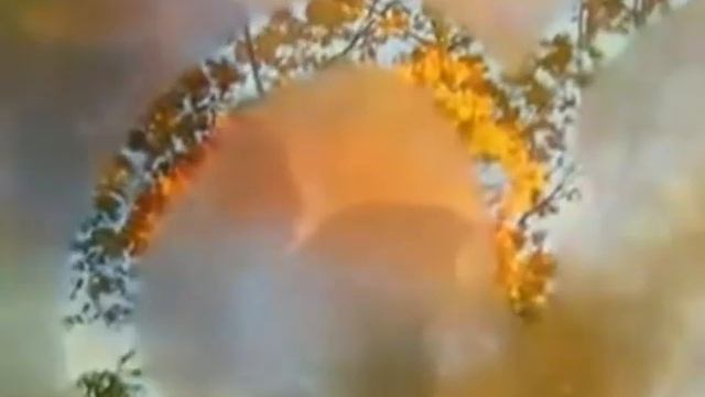 "Улетаешь - улетай !" - песни Семёна Кацыва смотреть онлайн