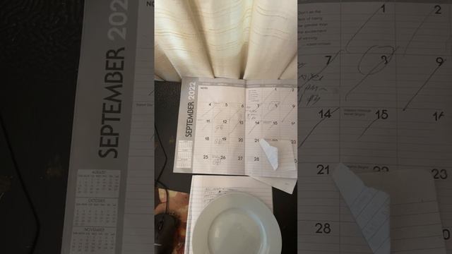 Super-secret Ninja Game Master training lesson One. #Shorts #Ninja смотреть онлайн