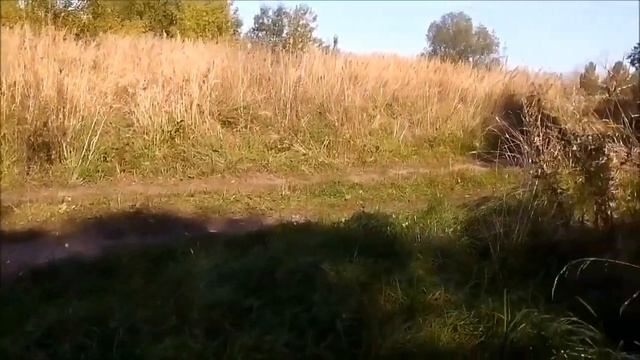 В поисках креста-энколпиона. Коп с MD-6350 смотреть онлайн