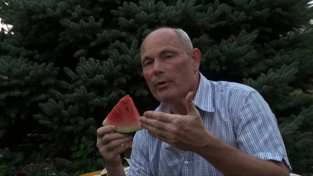 ЧИСТИМ ПОЧКИ. АРБУЗНЫЙ СЕЗОН. Малахов. смотреть онлайн