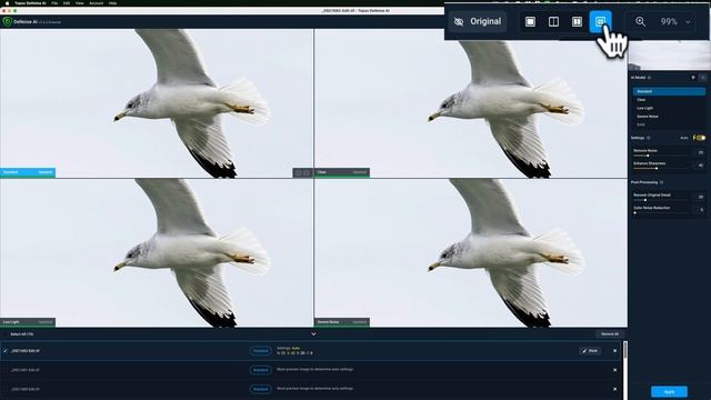 Bulk Edits With Topaz Labs Apps смотреть онлайн