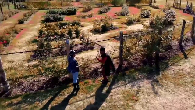 MPA dances смотреть онлайн