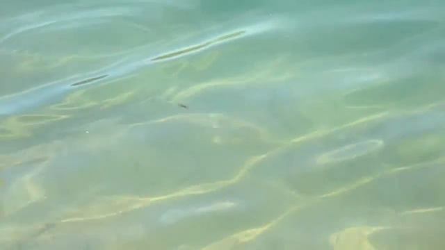 Pontoon 21 Crack Jack 48 F MR