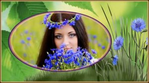 Васильки. Песню исполняет ВИА Орэра.