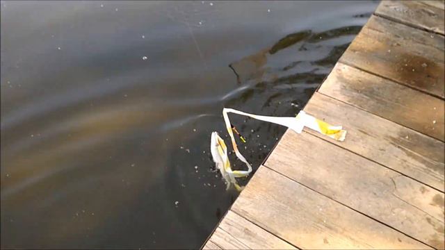 Ловля Форели!!! Приманки для ловли Форели!!! Рыбалка в Подмосковье!!! смотреть онлайн