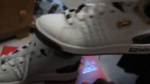 My Greedy Genius Sneakers смотреть онлайн