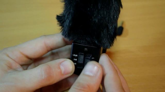 Накамерный микрофон Takstar SGC-698 смотреть онлайн