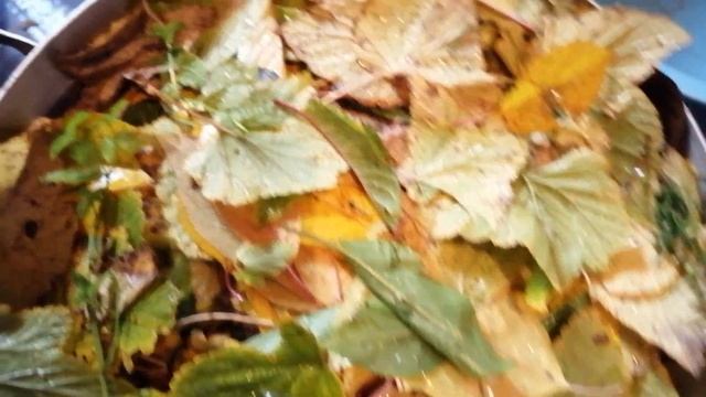 Моченые яблоки с мятой и медом. смотреть онлайн