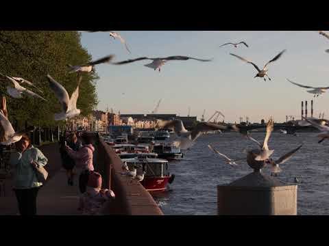 Прогулка по Санкт-Петербургу / Cinematic / Canon R6 / RF 24-105 FL / 29.05.22