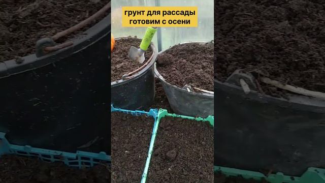 Вы не забили про грунт для рассады? смотреть онлайн