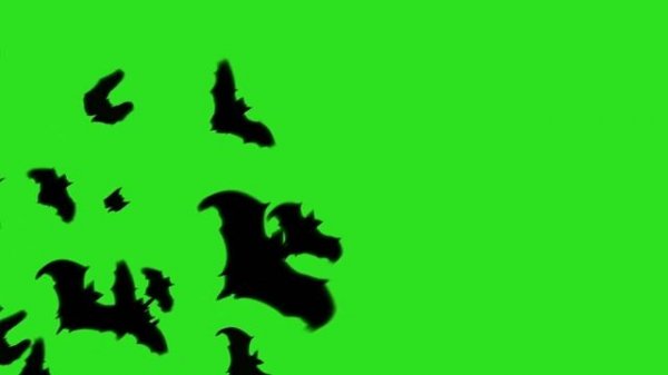 BEST 8 Bats Transition Animation Green Screen || By Green Pedia