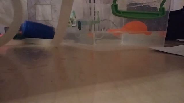 Эксперимент с водой и шариками .шары не пратыкаются с двух раз??!! смотреть онлайн