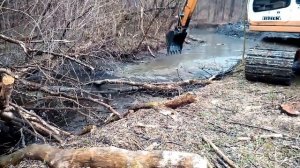 пруд своими силами ...чистка реки