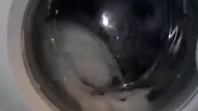 indesit wib 101 daily 1.mp4 смотреть онлайн