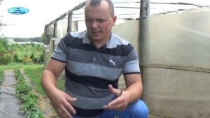 СУПЕР ЛЁГКАЯ ПОСАДКА КЛУБНИКИ!!! Теперь Вы всегда будете садить клубнику только так!!!