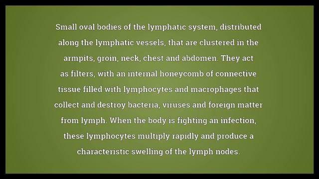 Lymph node Meaning смотреть онлайн