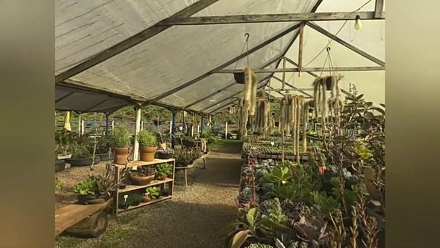 Horto Ther Flores, Vargem Alta, Nova Friburgo RJ! смотреть онлайн