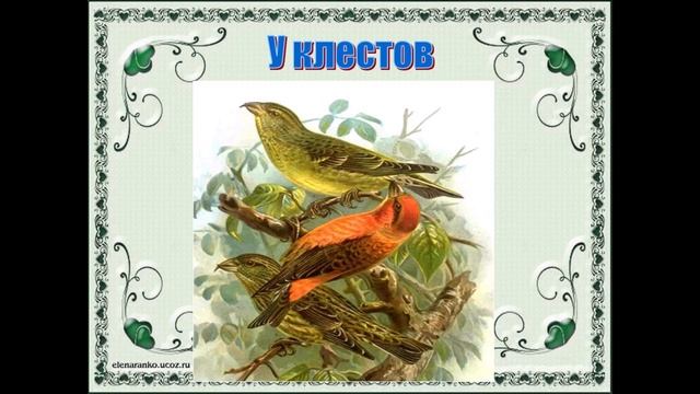 "Хочу всё знать!" смотреть онлайн
