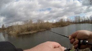 Открытие сезона! весна 2020! отличный клёв щуки после нереста! джиг на реке с берега!