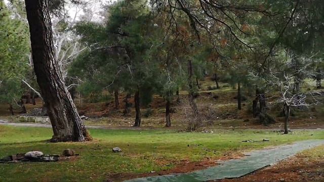 Измир, наш горный маршрут/ самостоятельная экскурсия смотреть онлайн