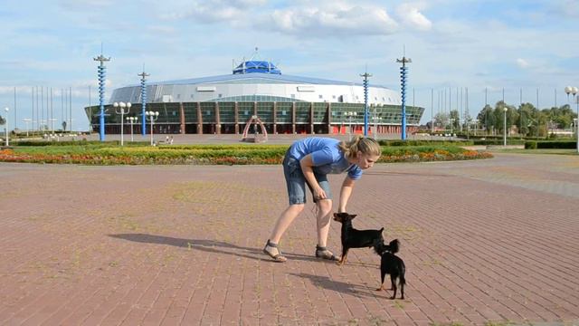 Тимоти оф Виджис Прайд из Замка Приора и Дуняша Виджис Прайд смотреть онлайн