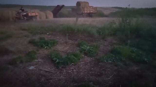 Дрифт на мотороллере муровей смотреть онлайн