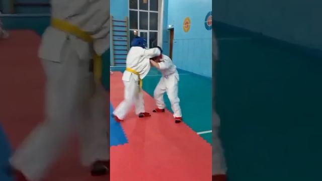 День спарринга по какуто-систем