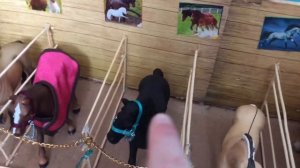 Обзор конюшни для шляйх!!!