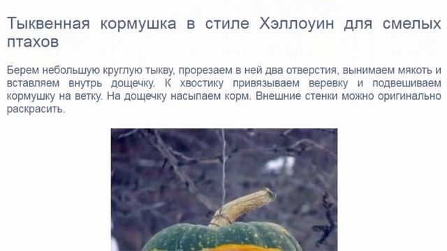 Как смастерить кормушку для птиц своими руками. 7 креативных идей для любителей пернатых. смотреть онлайн