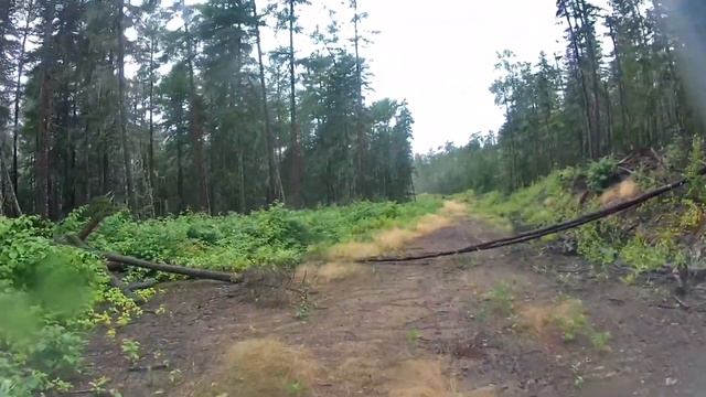 Ложим стрелку на УАЗе. Едем по заброшенной дороге. смотреть онлайн