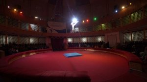 Вардосанидзе  Ева  с номером "Слава роду" 2022год  Воздушная гимнастика на кольце