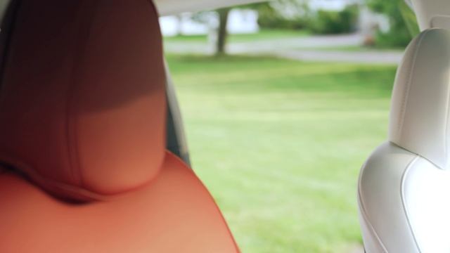 My Tesla RED Interior Seats #tesla #2023 #teslamodely смотреть онлайн