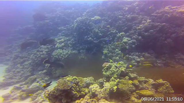 Diving makes people happy 💖 смотреть онлайн