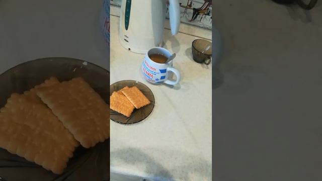 мои дни 🙃 у меня есть уточка Молли? 😱 смотреть онлайн