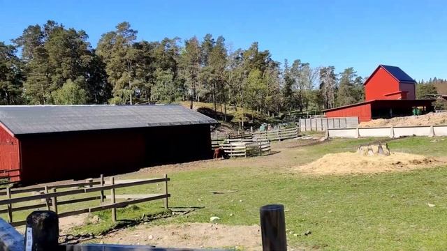 Шведская ферма смотреть онлайн