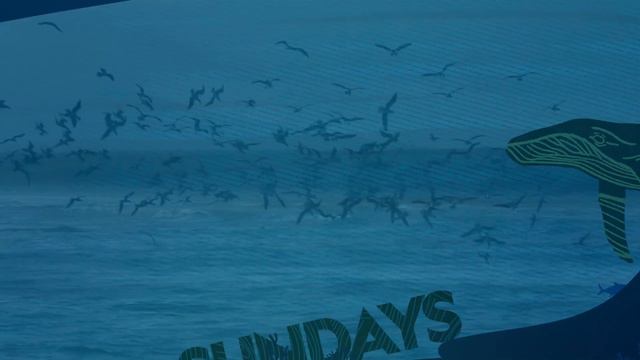 World Oceans Month (Sundays) смотреть онлайн