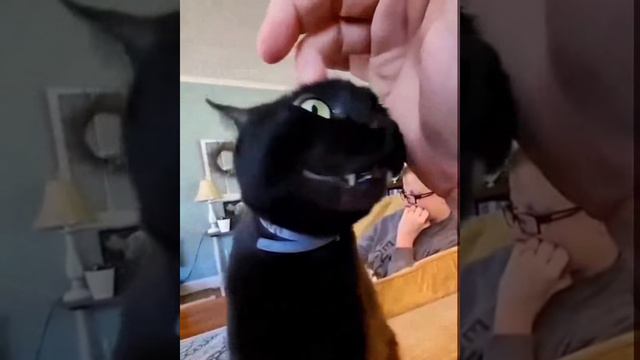 Почесушки смотреть онлайн