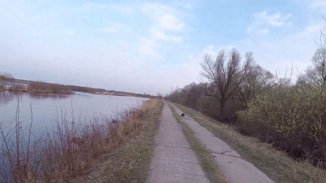 Не выживание. ПВД. Везде вода. В брод. Москворецкий пойменный заказник. М.О. смотреть онлайн