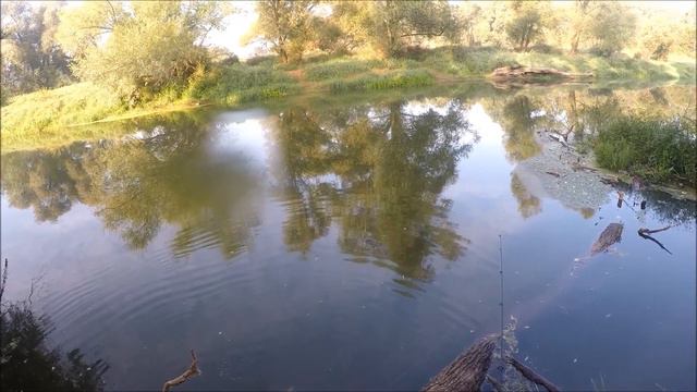 рыболовные приключения 39 смотреть онлайн