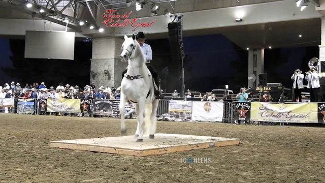 Feria del caballo Español смотреть онлайн