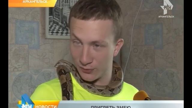 Заводчик змей