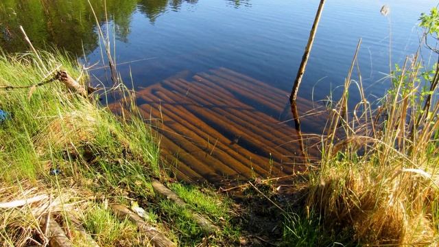 Лесное озеро. Вытегорский район. смотреть онлайн