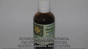 Якорь трава: описание, где растет, сфера применения