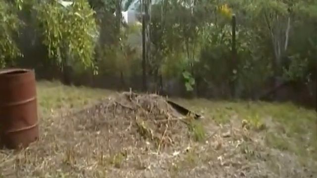 Моя Дача - SDV_0218.MP4 смотреть онлайн