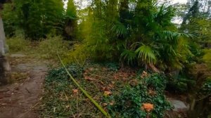 Дача купца Силина в Абхазской солянке сегодня 14 апреля 2022г